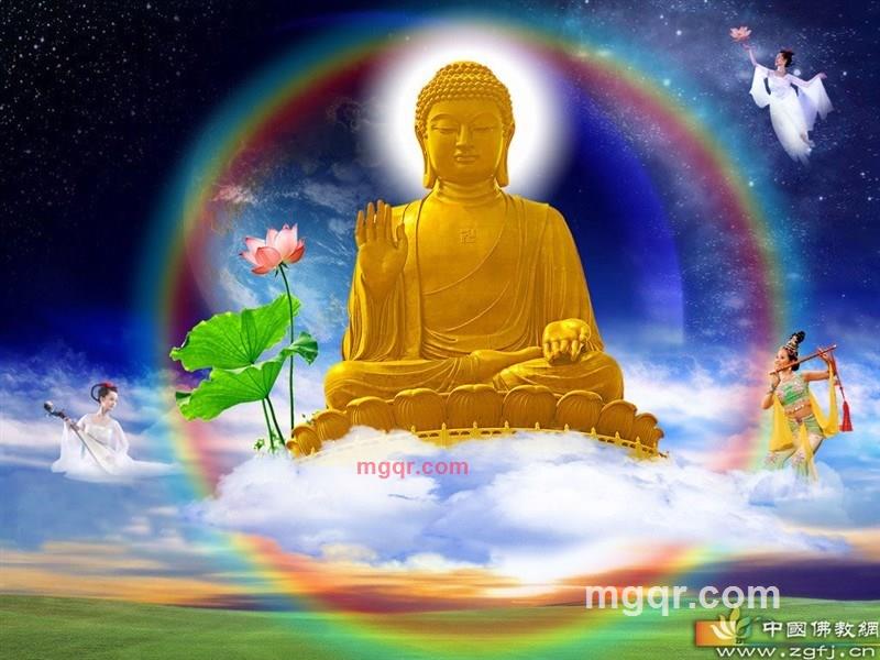 瑾儒的第3张照片