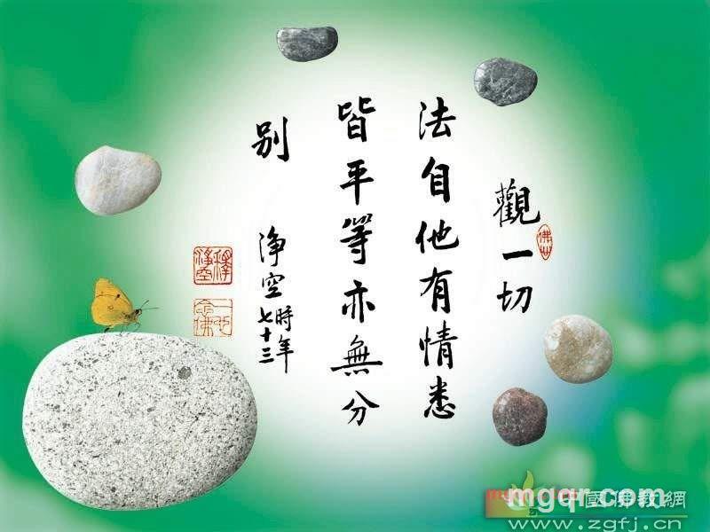 瑾儒的第2张照片