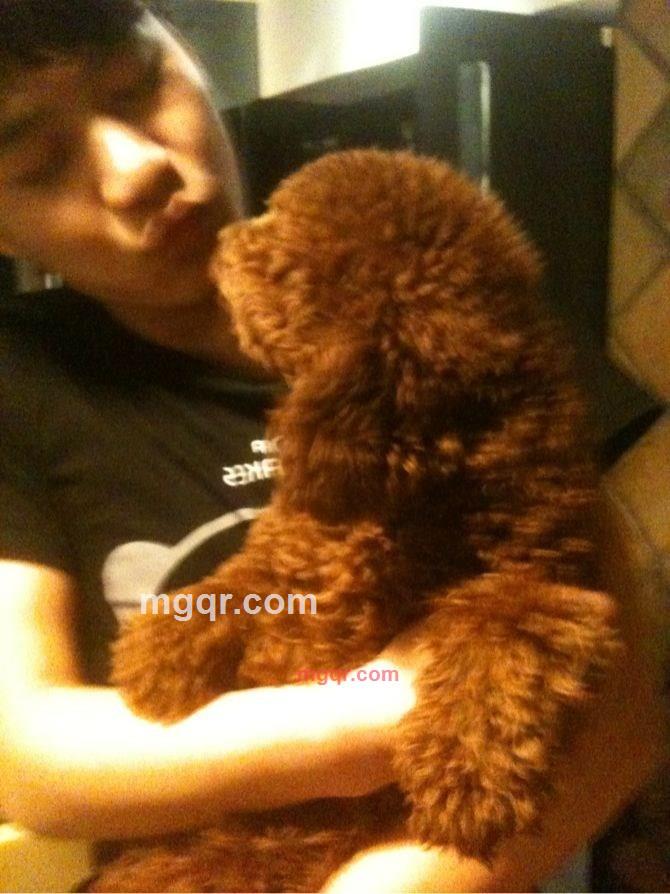 银??联系我哦的第8张照片