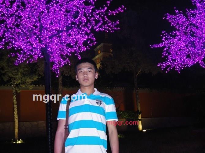  真 诚的第4张照片