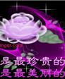 陈贵兵的第4张照片