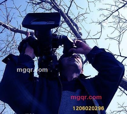 文艺复兴的第1张照片