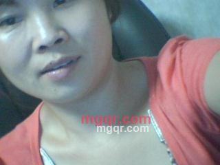 翱翔的小鸟的第1张照片