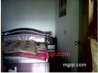 ▌乀如果单身。寻爱的第2张照片