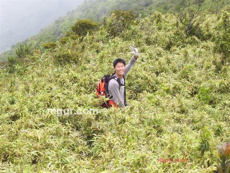 nealjack的第1张照片