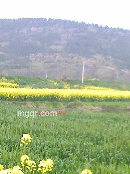 ddcryg的第1张照片