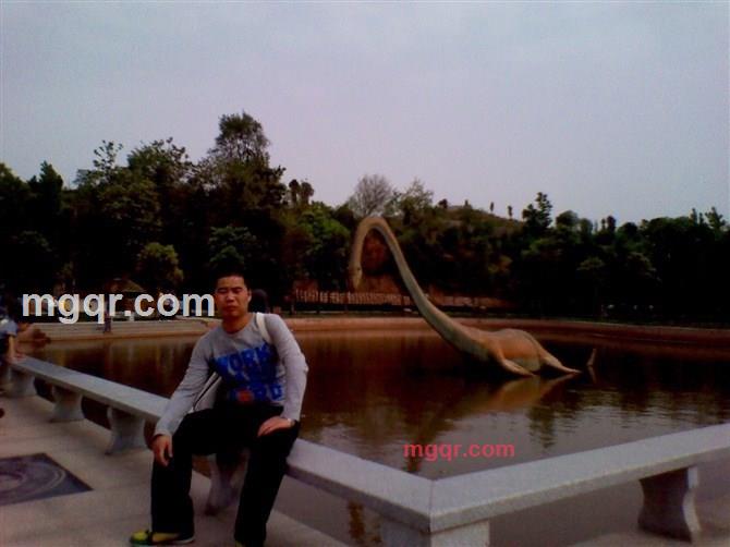 ˋ白鹤 .的第5张照片