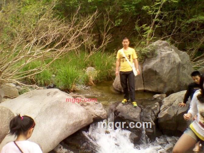 ˋ白鹤 .的第4张照片