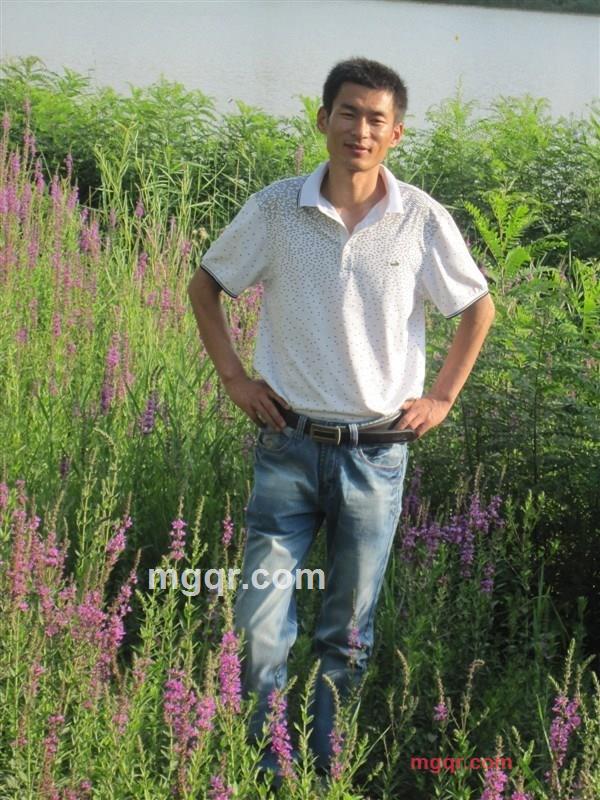 喜悦的爱的第2张照片