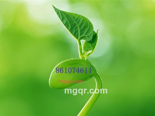 黄昏后相约的第3张照片