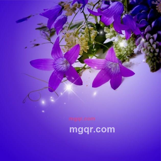 总结过去的第1张照片