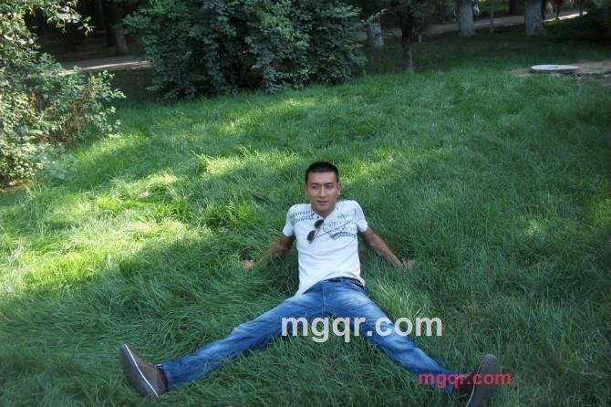 狼 来了的第2张照片