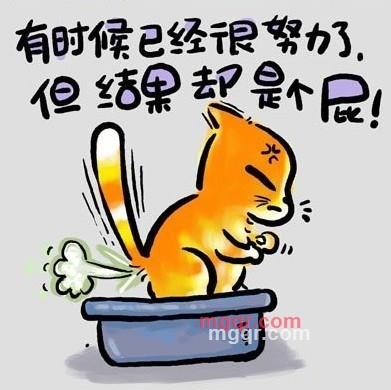 安徽肥东的第1张照片