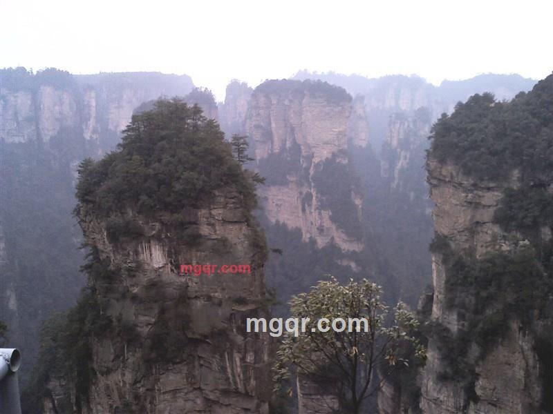 月飞的第9张照片