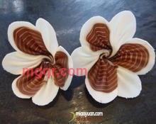 名丿名的第2张照片