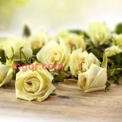 467yxy的第3张照片