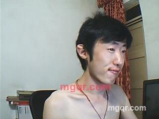 美国鸟的第1张照片