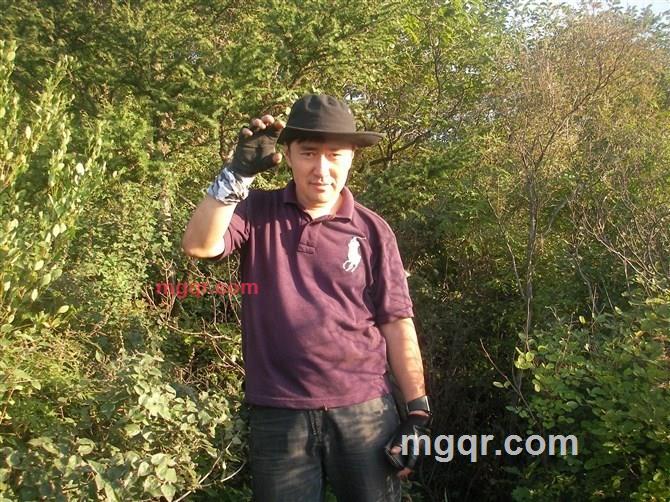 中郎将的第2张照片