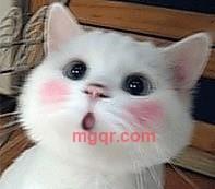 467yxy的第2张照片