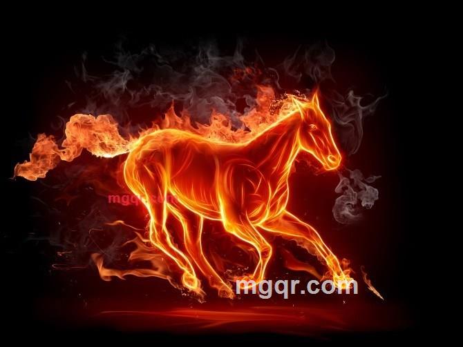 爱的体现的第2张照片