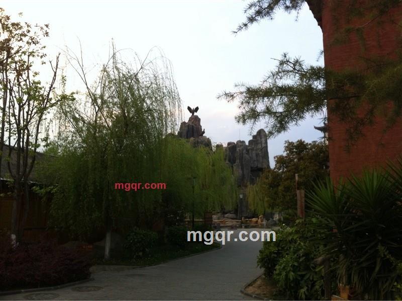 另类风的第15张照片