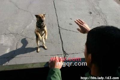 《坏小子》的第14张照片