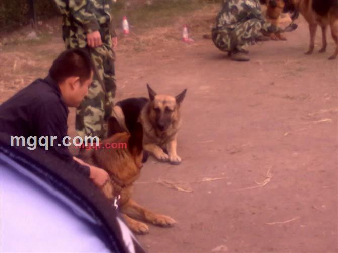 《坏小子》的第16张照片