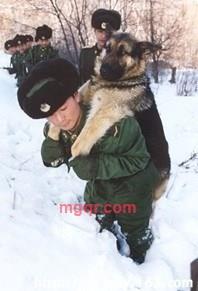 《坏小子》的第3张照片