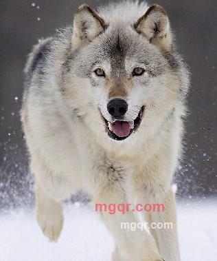 海洋的祝福的第1张照片