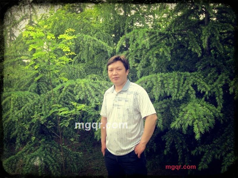 孤雁男的第1张照片