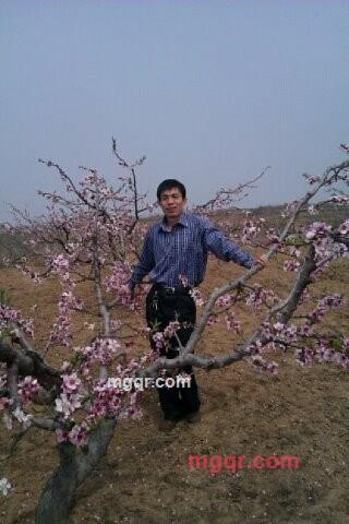 小贝**的第1张照片