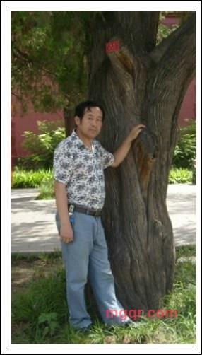 芳草*斜阳的第2张照片