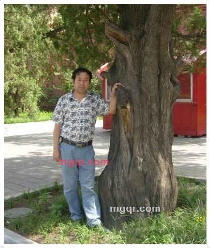 芳草*斜阳的第1张照片