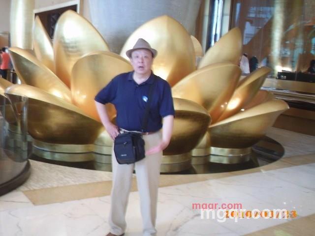 天津金鱼的第2张照片