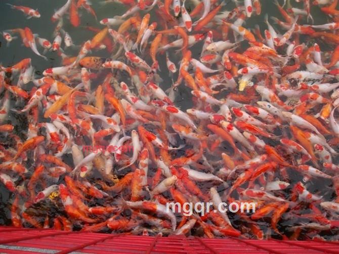 啸湘baby的第2张照片