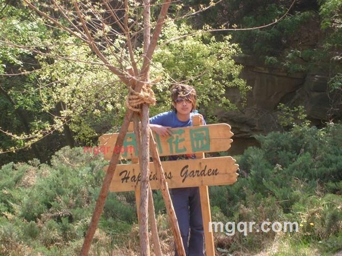 寻找一??%的第4张照片