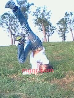 不能失去你丶的第1张照片