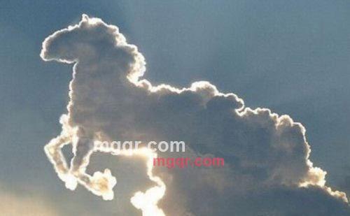 比青哥的第1张照片