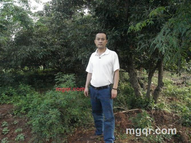 罗浪子的第2张照片