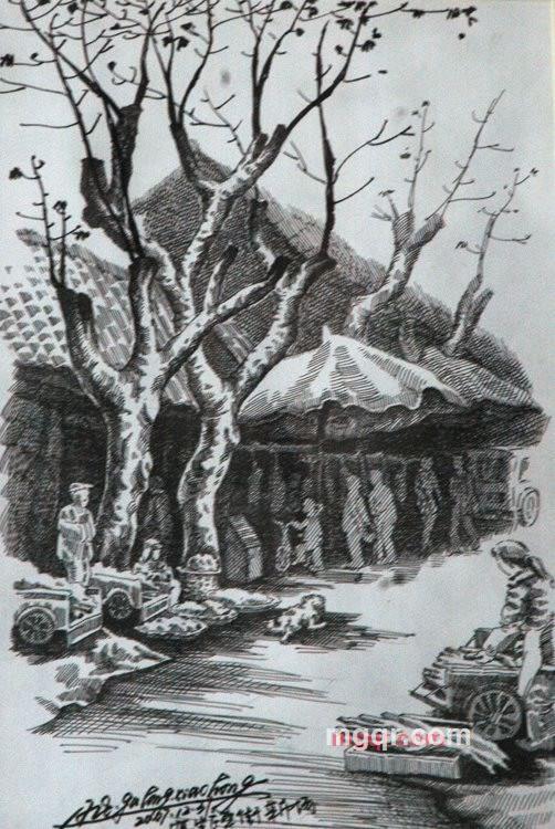 孤狼艺术的第15张照片