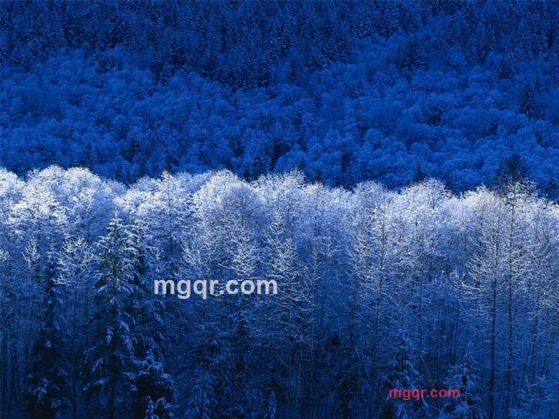 潜龙腾渊的第2张照片