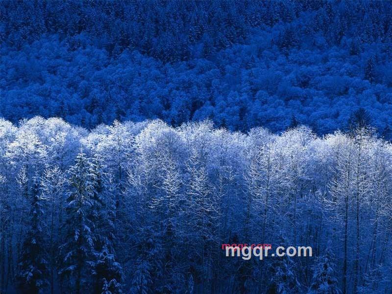 潜龙腾渊的第1张照片