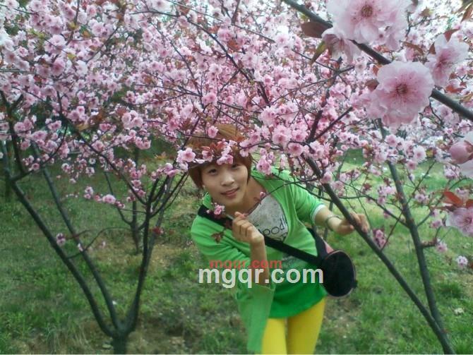 茶海的第3张照片