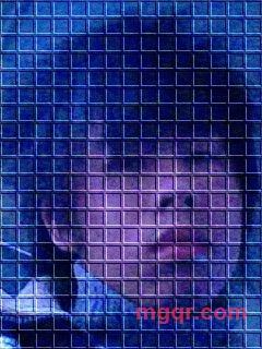 花儿那么红的第3张照片