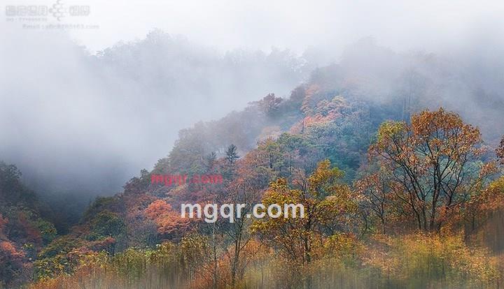 jinsxz的第5张照片