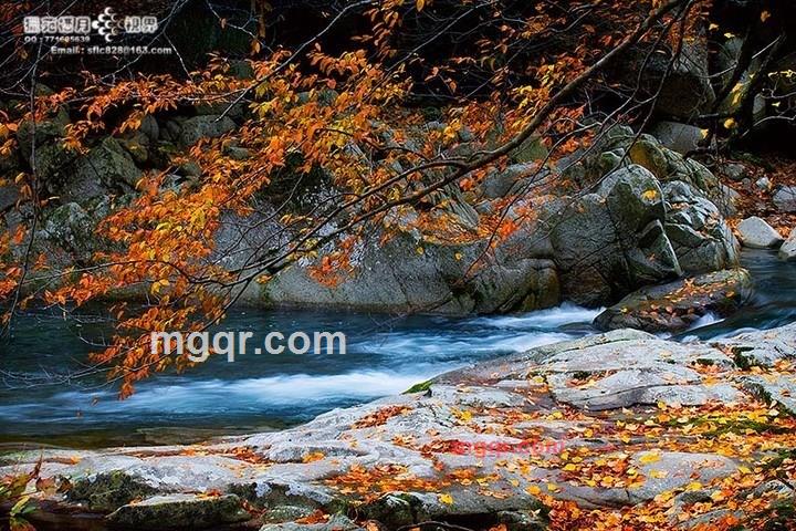 jinsxz的第4张照片