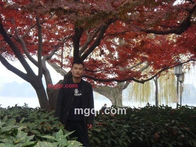 枯井的第5张照片