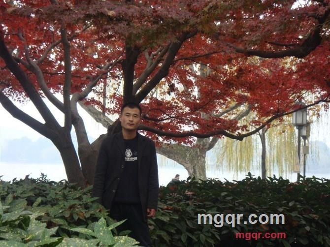 枯井的第4张照片