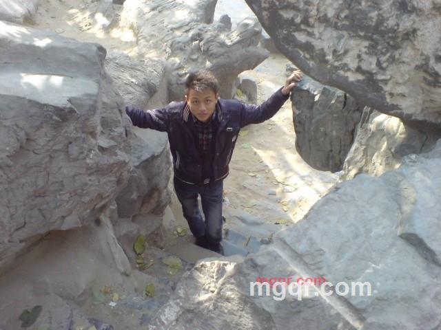 和猫睡觉的鱼的第2张照片