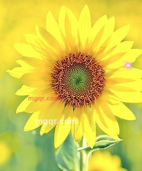 467yxy的第1张照片